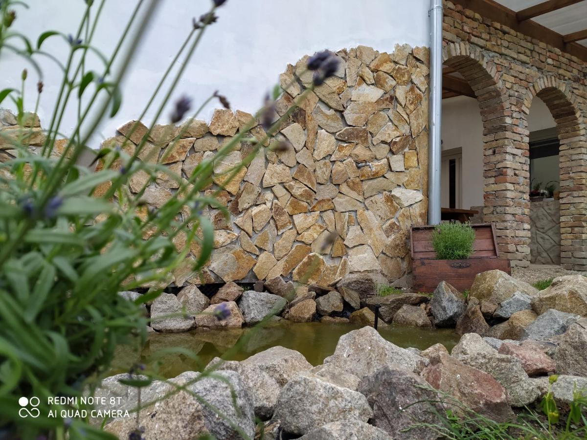 Penzion Levandule A Palava Starovicky ภายนอก รูปภาพ